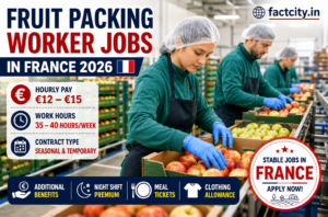 Fruit Packing Worker Jobs in France