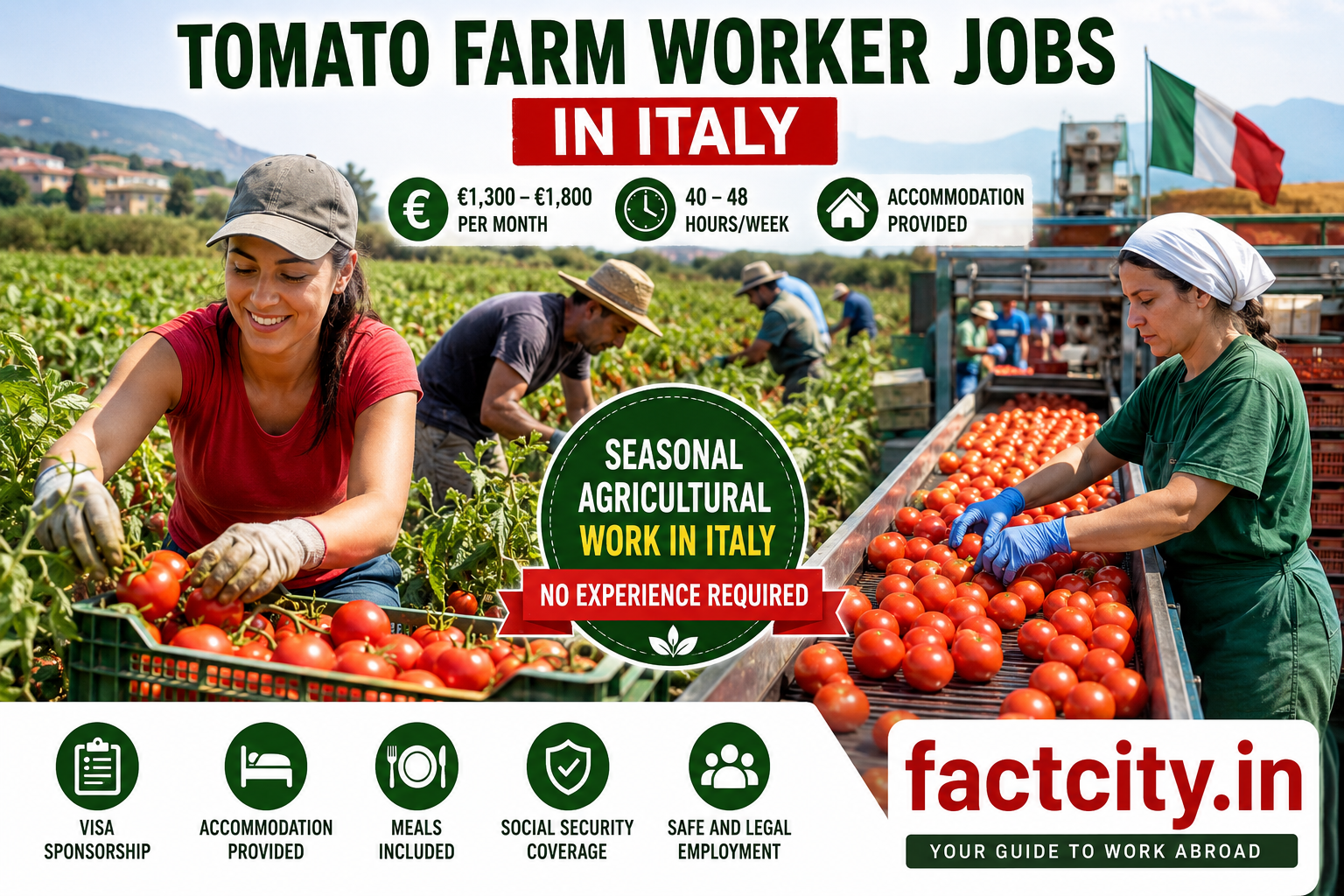 Tomato Farm Worker Jobs in Italy