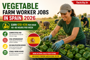 Vegetable Farm Worker Jobs in Spain