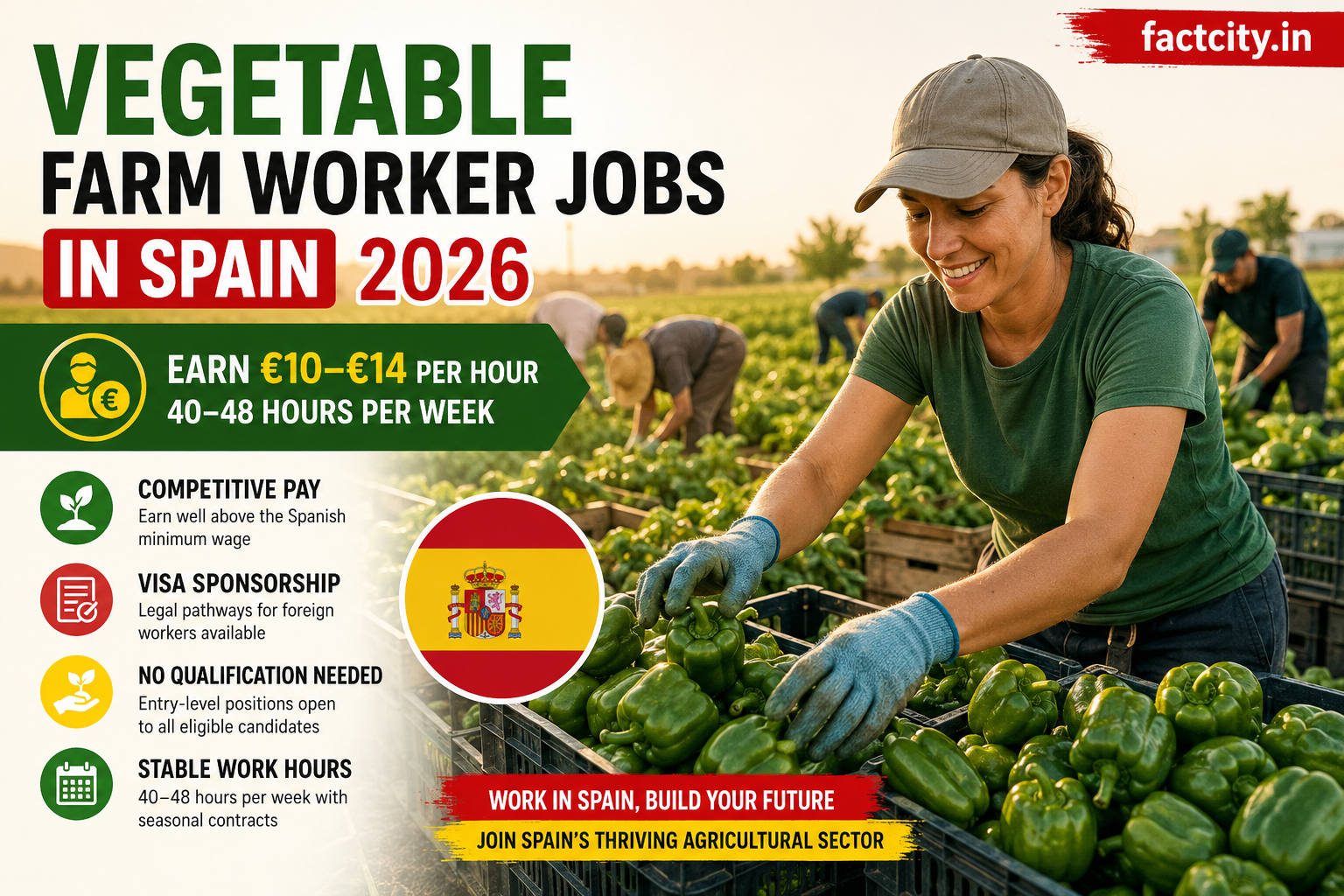 Vegetable Farm Worker Jobs in Spain