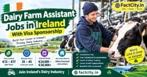 Dairy Farm Assistant Jobs in Ireland – €13–17/hour – 35–45 hours/week – Feed animals, clean equipment & assist with farm tasks.