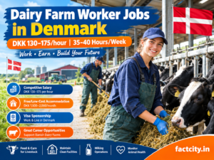Dairy Farm Worker Jobs in Denmark