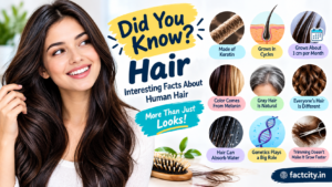 Did You Know Hair