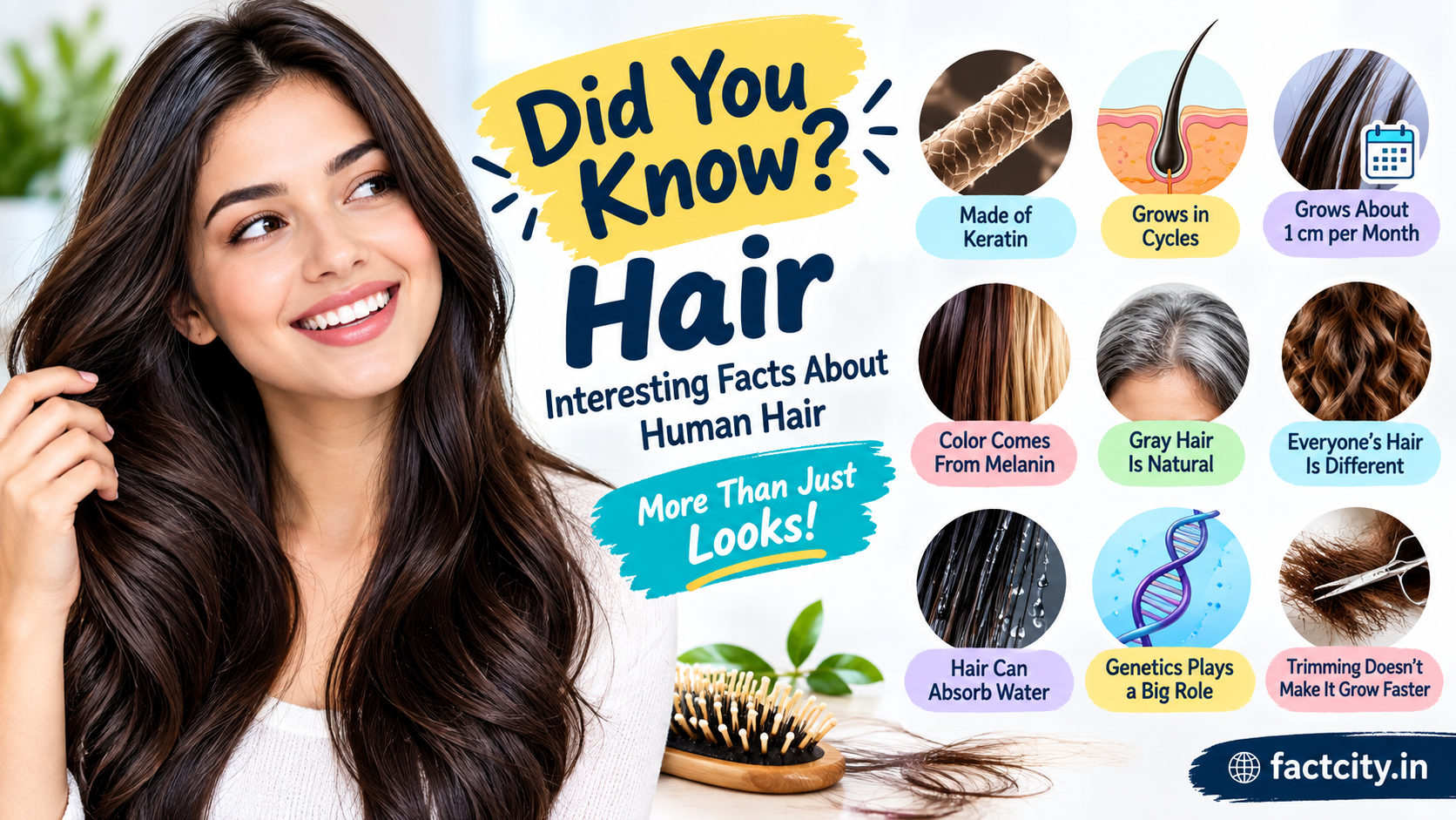 Did You Know Hair