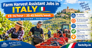 Farm Harvest Assistant Jobs in Italy