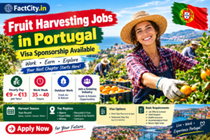 Fruit Harvesting Worker Jobs in Portugal – €9–13/hour – 35–40 hours/week – Pick fruit, sort produce & assist with packing.