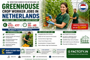 Greenhouse Crop Worker Jobs in the Netherlands – €13–17/hour – 35–40 hours/week – Water plants, sort crops & assist with greenhouse tasks.