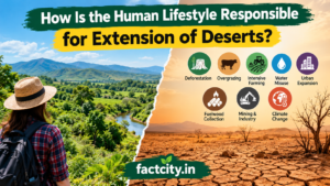 How Is The Human Lifestyle Responsible For Extension Of Deserts