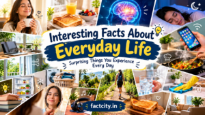 Interesting Facts About Everyday Life