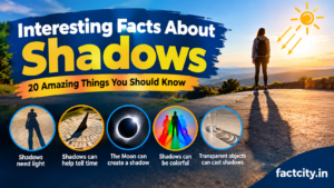Interesting Facts About Shadows