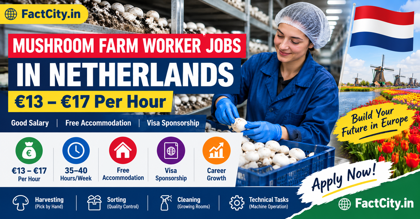 Mushroom Farm Worker Jobs in the Netherlands