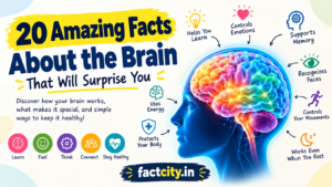 Amazing Facts About the Brain