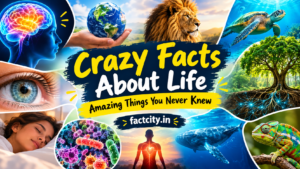 Crazy Facts About Life