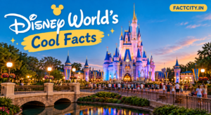 Disney World Cool Facts