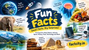 Fun Facts
