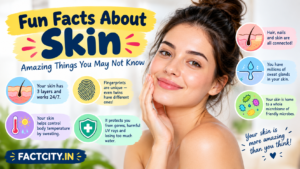 Fun Facts About Skin