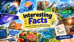 Interesting Facts