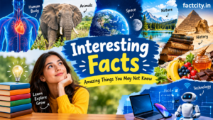 Interesting Facts