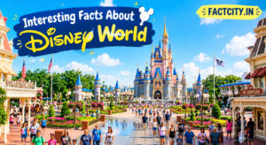 Interesting facts about disney world