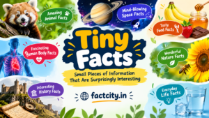 Tiny Facts