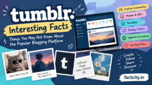 Tumblr Interesting Facts