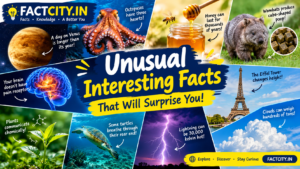 Unusual Interesting Facts