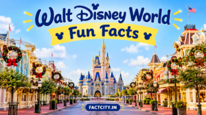 Walt Disney World Fun Facts