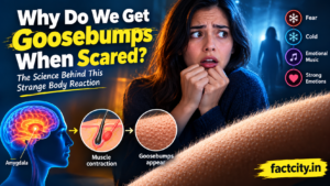 Why Do We Get Goosebumps When Scared