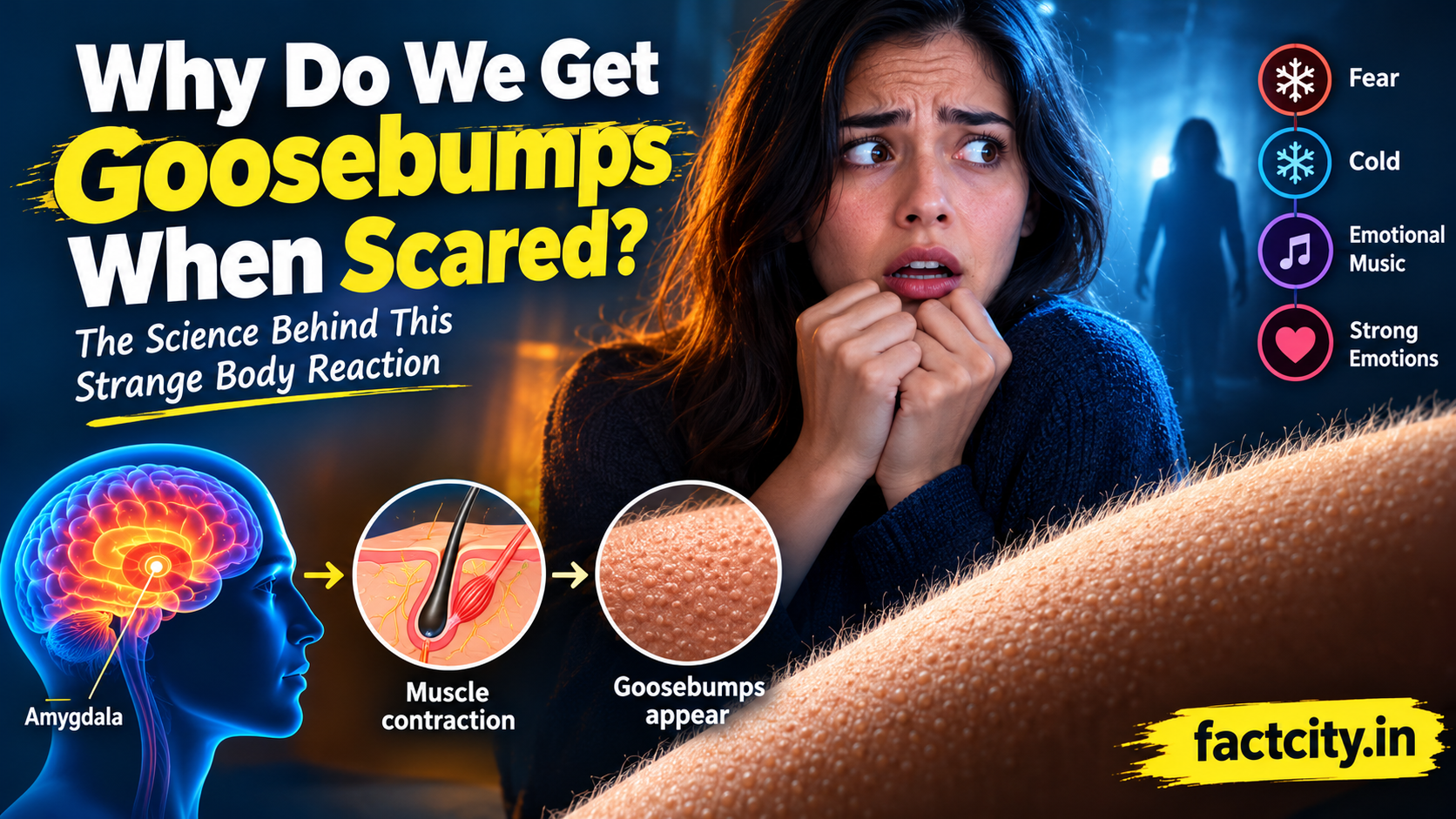 Why Do We Get Goosebumps When Scared